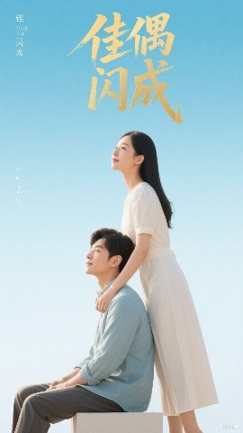 佳偶闪成&amp;amp;假婚真爱